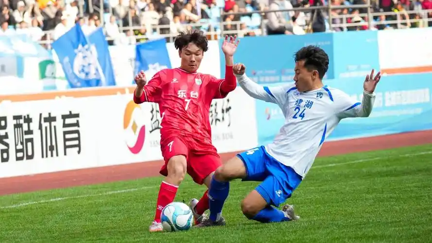 德国乙级联赛：海登海姆 VS 汉堡